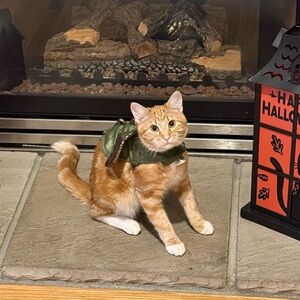 Dragon Pet Costume size small